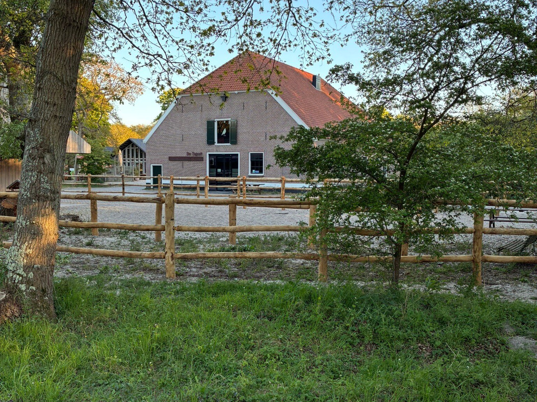 Duinreservaat Meijendel-Kievietsduin-Wassenaar必去景点