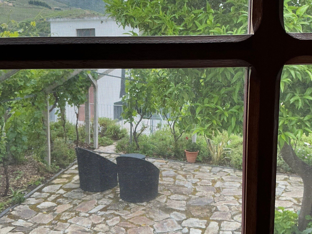 Quinta do Tedo主图