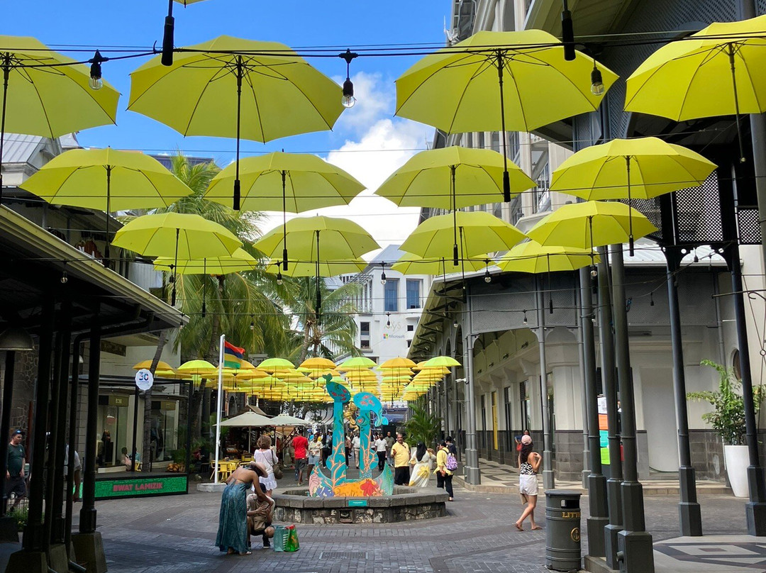 Taxi Service Mauritius (TRAVELHUB)-卡特勒博尔纳必去景点