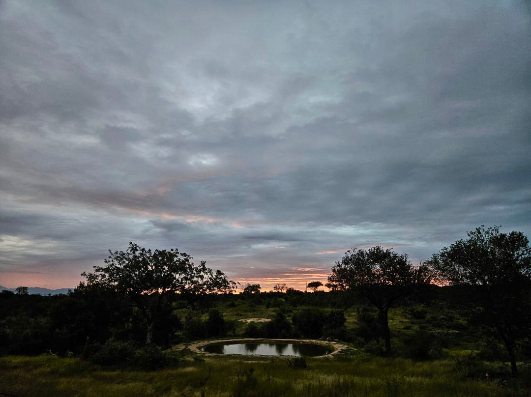 Grietjie Nature Reserve酒店住宿-Milima Big 5 Safari Lodge