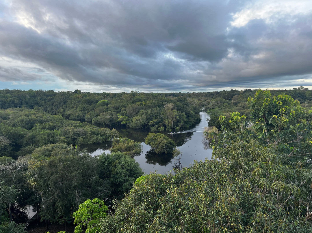 Amazon Green Tours-玛瑙斯必去景点