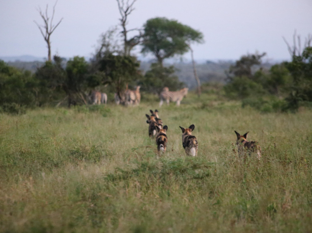 Discover Kruger Safaris-库马堤港必去景点