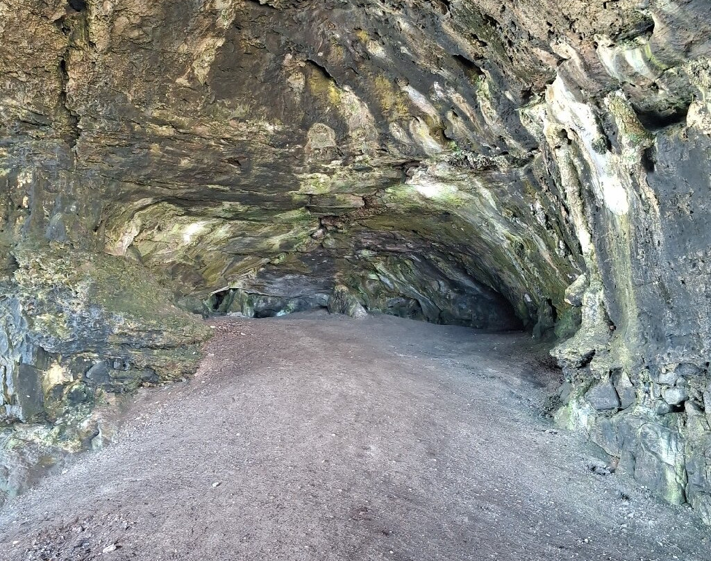 Klipgat Caves-De Kelders必去景点