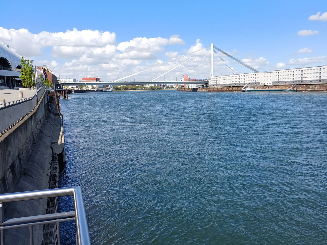 Rhein-Galerie-Ludwigshafen必去景点