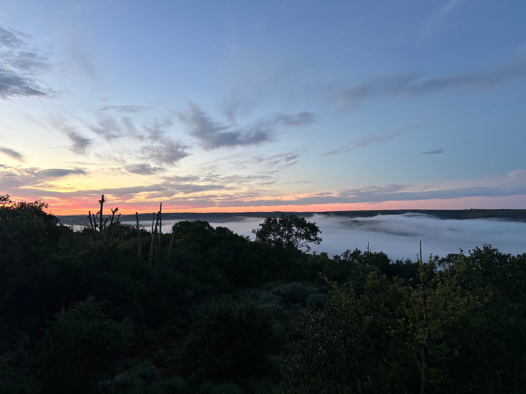 Woodbury Manor Amakhala Game Reserve