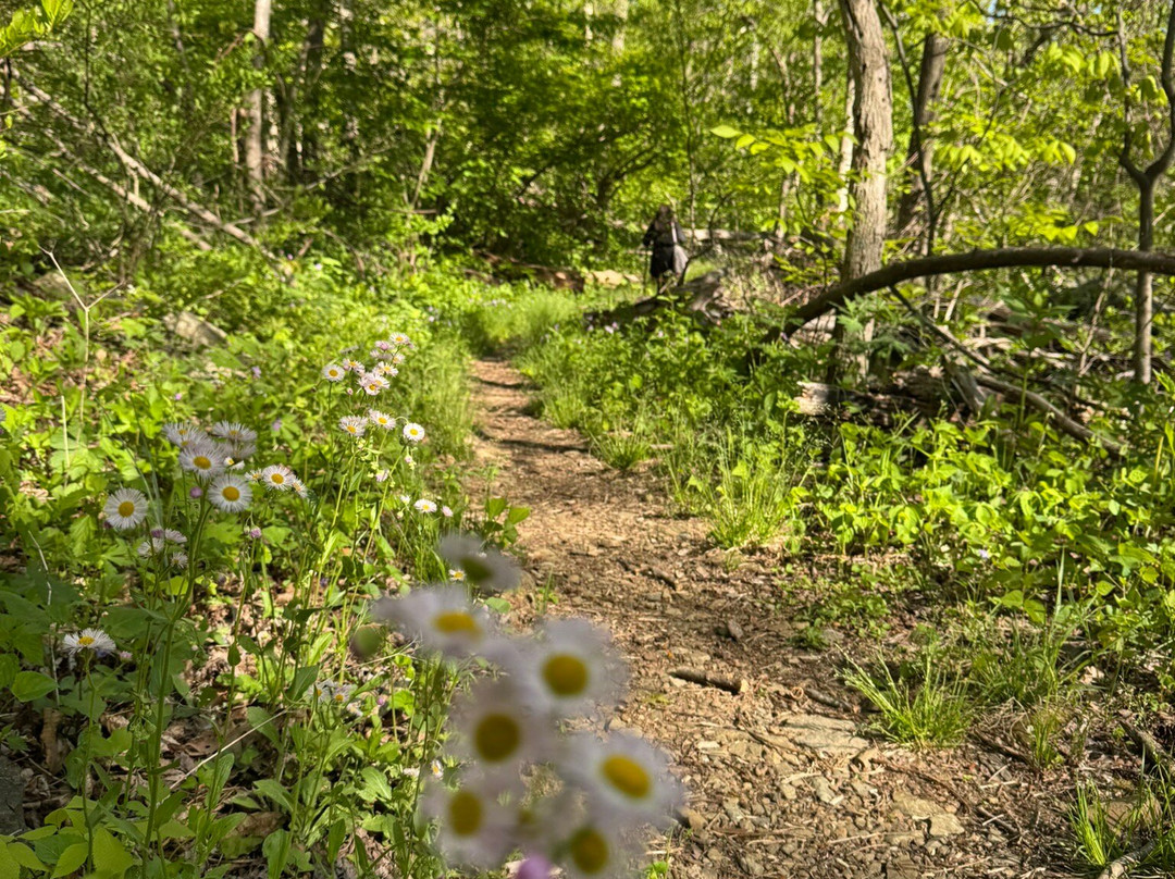 Shenandoah National Park-弗兰特罗亚尔必去景点