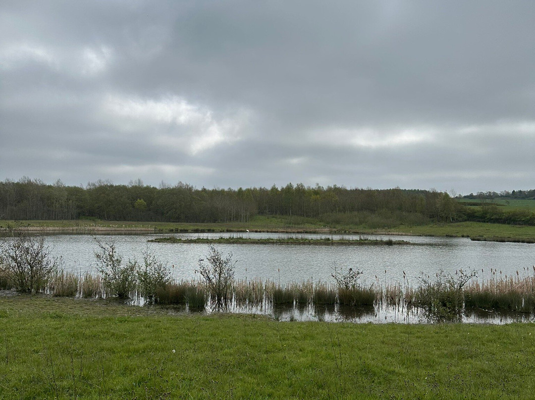Rainton Meadows Nature Reserve & Visitor Centre-Houghton-le-Spring必去景点