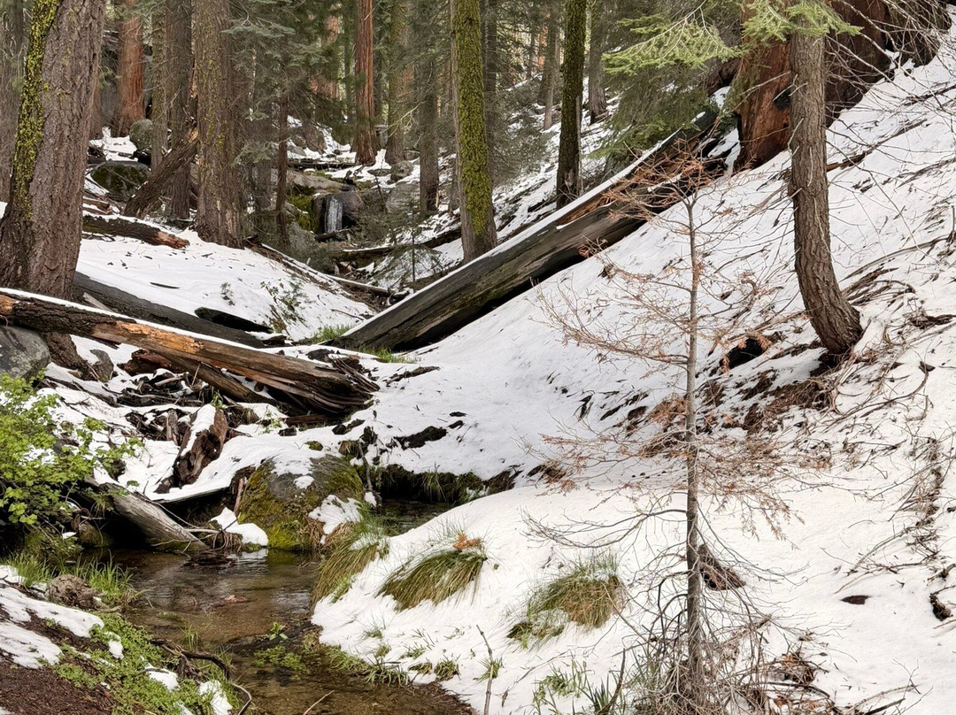 Sequoia and Kings Canyon National Parks-Three Rivers必去景点