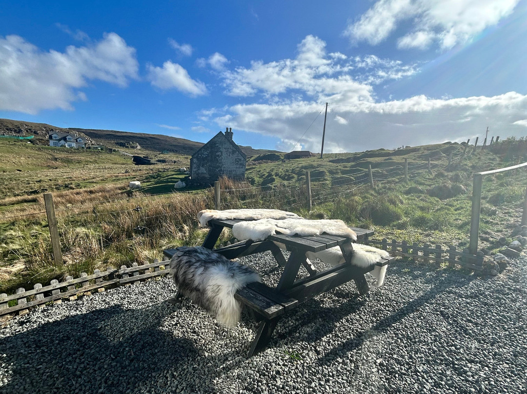Gift Shop sheepskins skye-Glendale必去景点