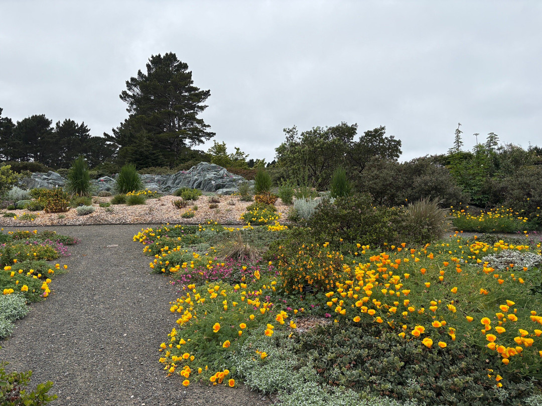 Humboldt Botanical Garden-尤里卡必去景点