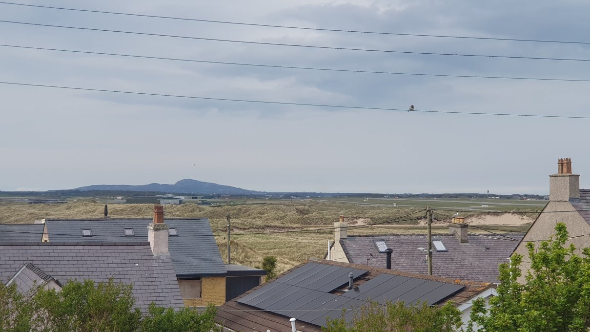 Driftwood Boutique Guest House - Rhosneigr-旅行者