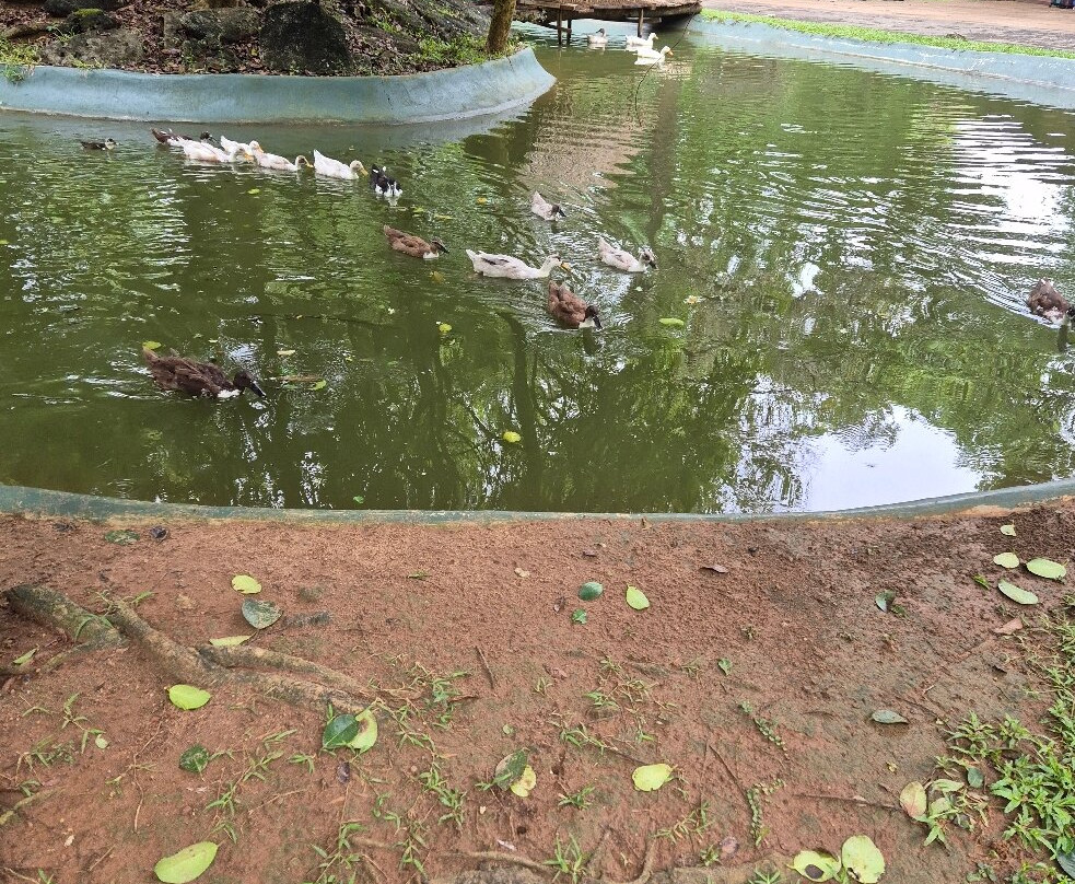 狮岩庭院主图