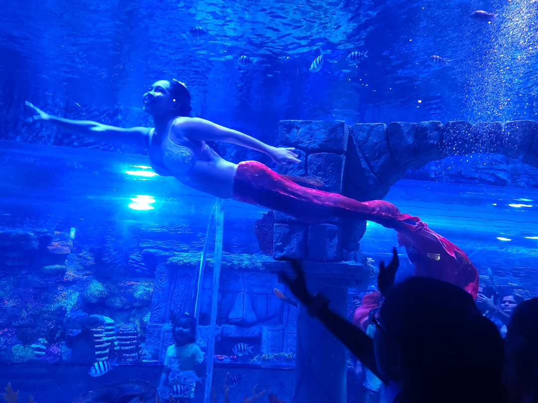 Aquarium Paradise-班加罗尔必去景点