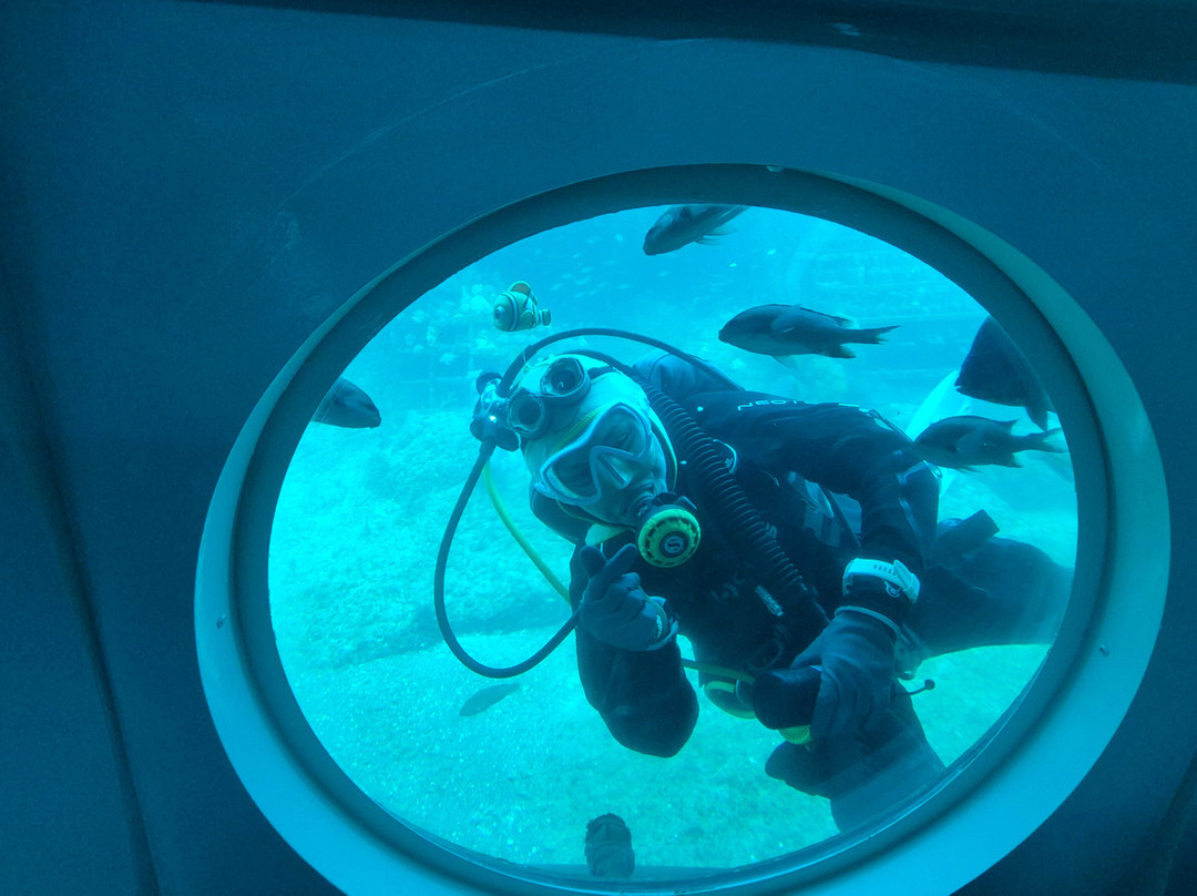 Submarine Tour - Udo Submarine-济州必去景点