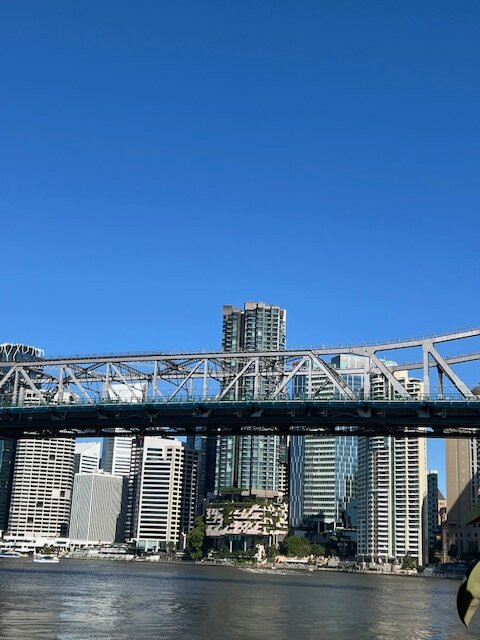 城市之猫渡船-布里斯班必去景点