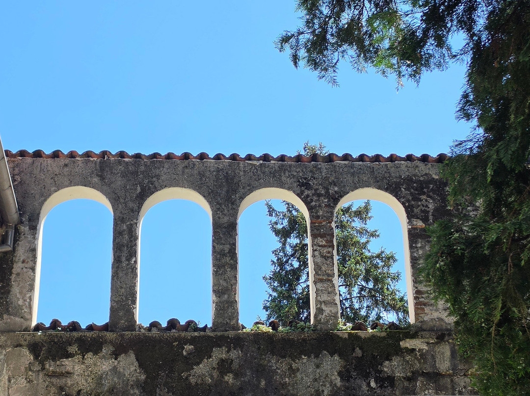 Museo di Storia Naturale Faraggiana Ferrandi-诺瓦拉必去景点