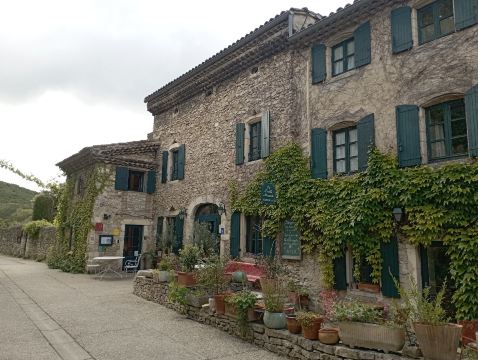 马斯喀特乔木酒店-旅行者