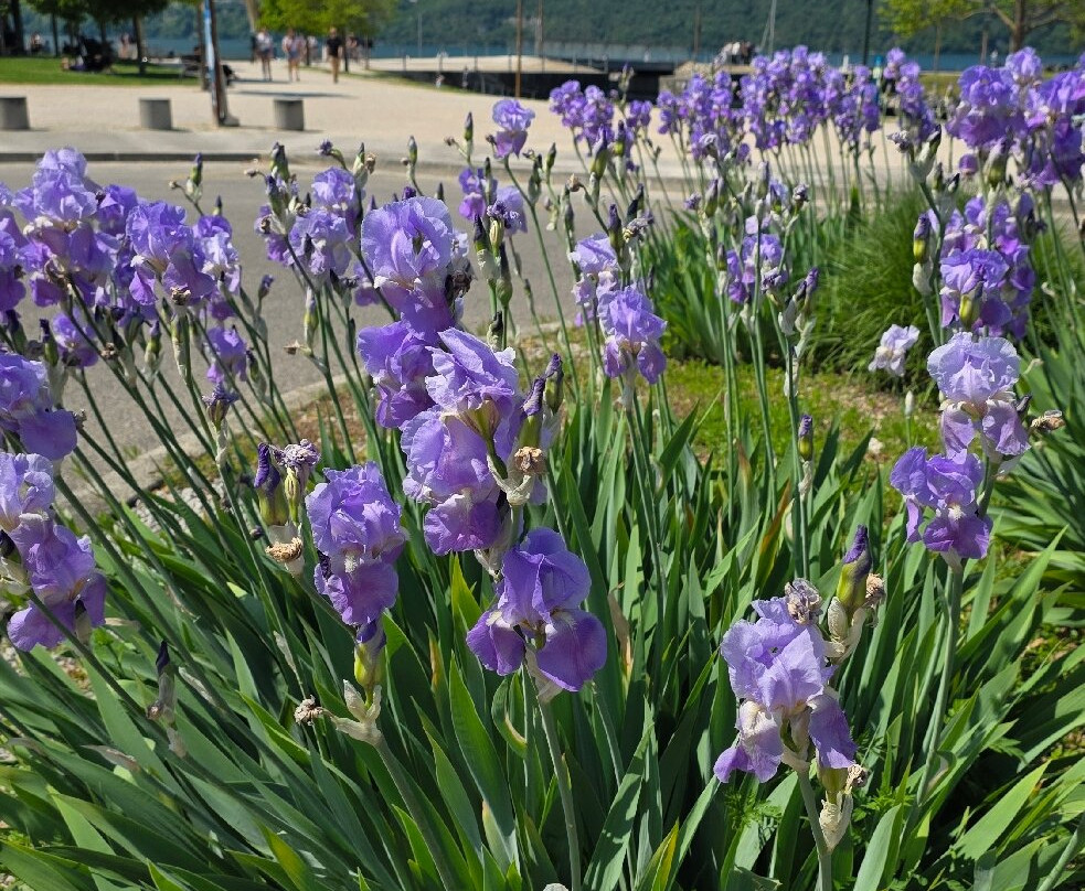 Lac du Bourget-艾克斯莱班必去景点