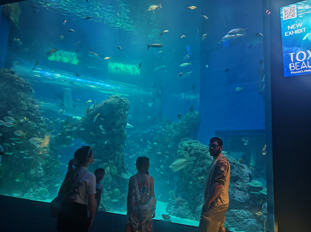 Mississippi Aquarium-格尔夫波特必去景点
