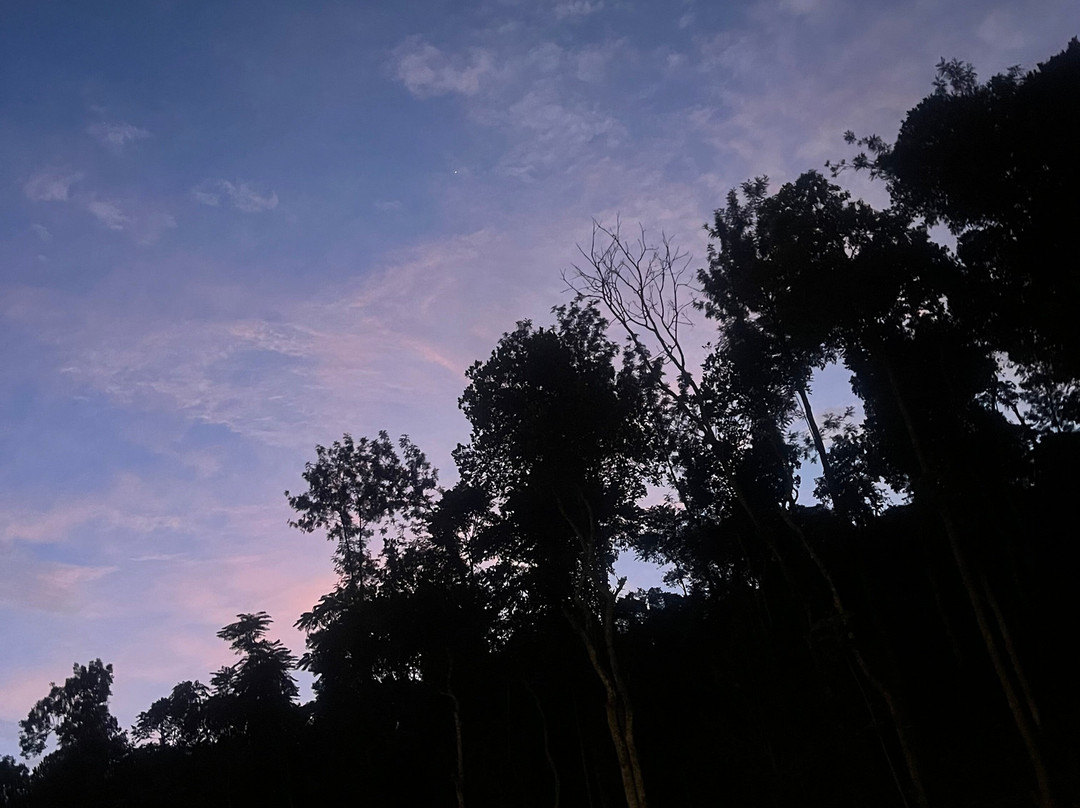 Amaana Plantation Resort主图