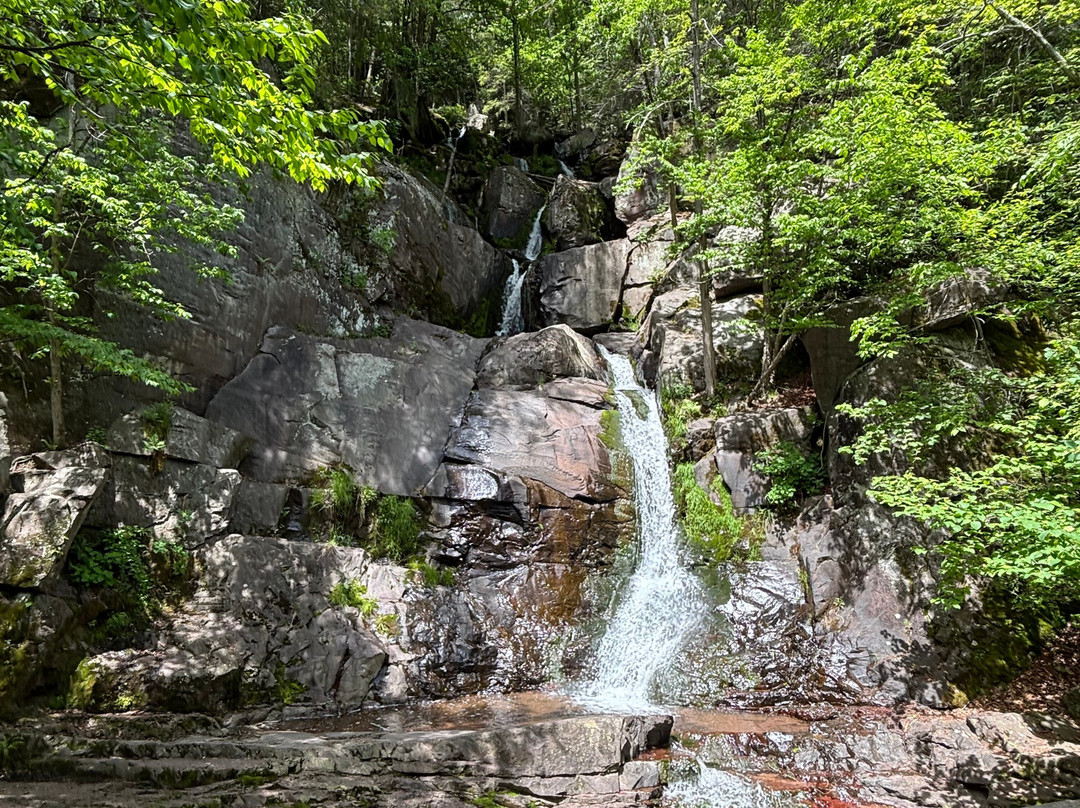 Jim Thorpe River Adventures-Lehighton必去景点