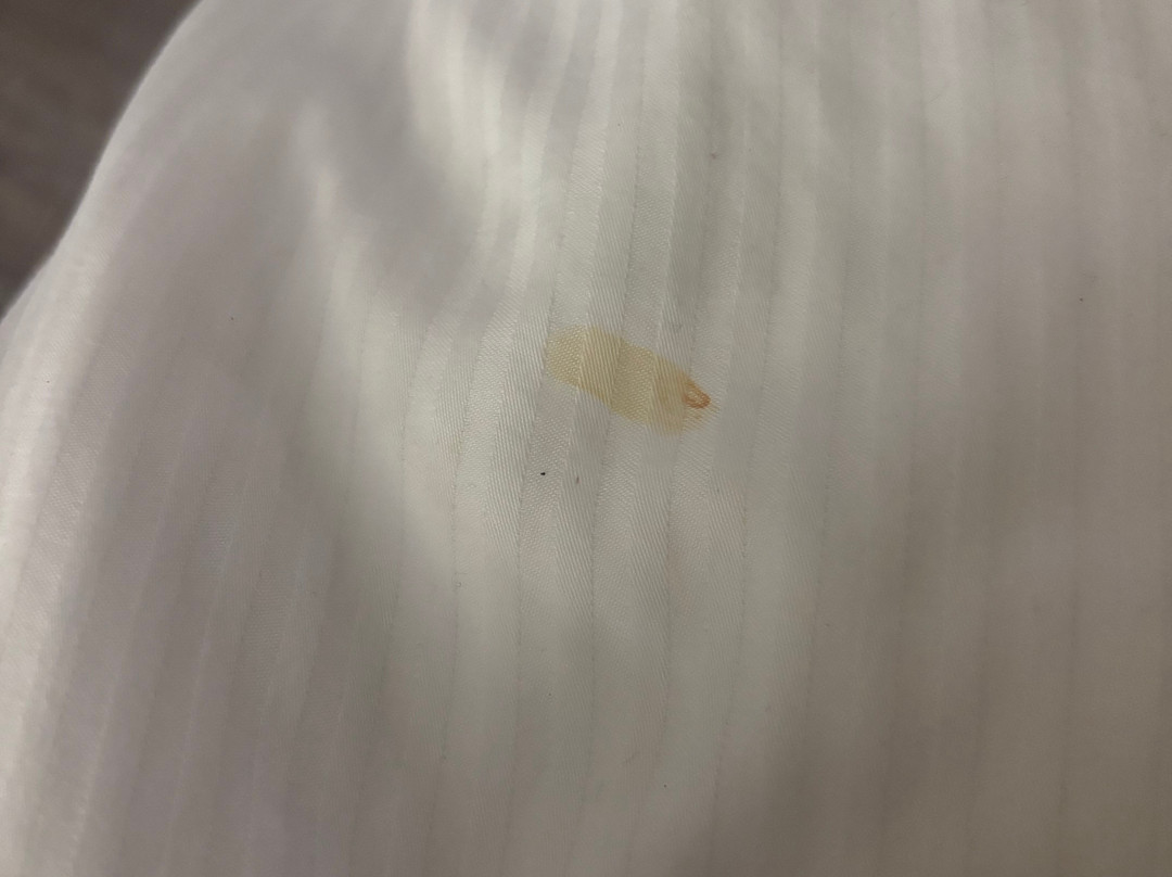 罗德威旅馆主图
