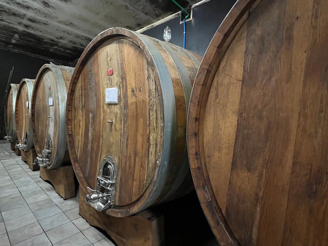 Costa di Bussia - Tenuta Arnulfo-蒙福特-达尔巴必去景点