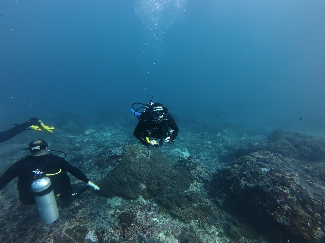 Scuba Go Sanur-Sanur Kauh必去景点