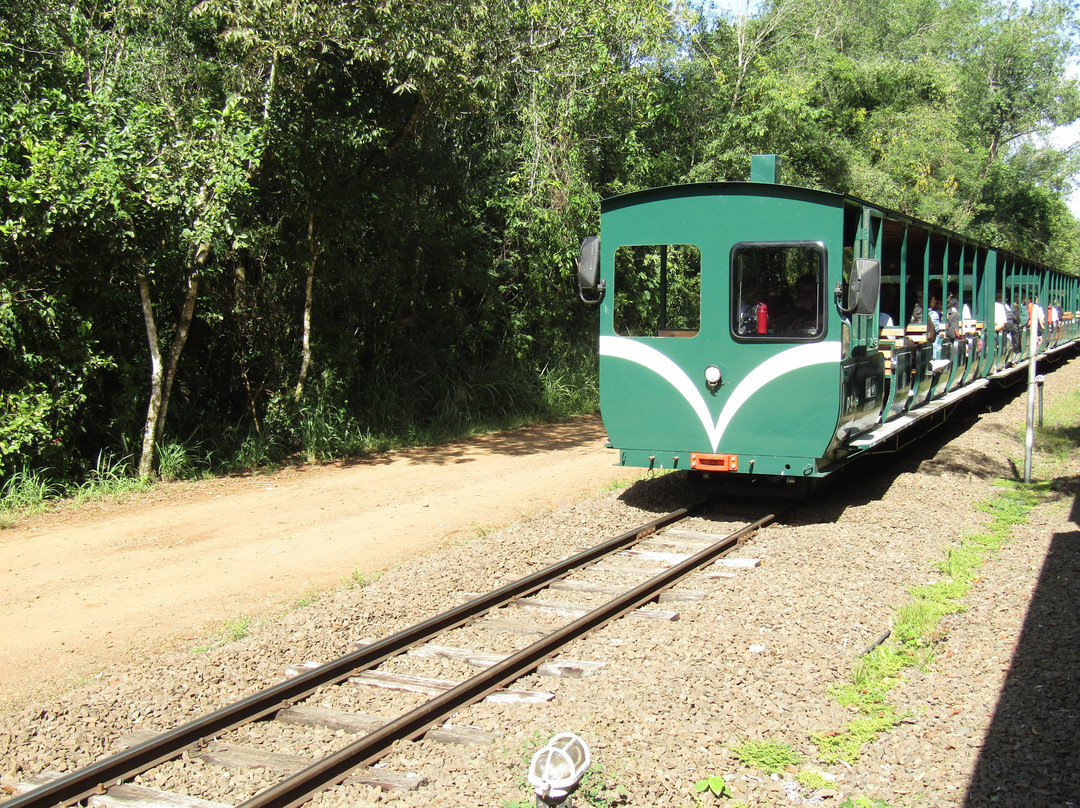 Tren Ecológico De La Selva-伊瓜苏港必去景点