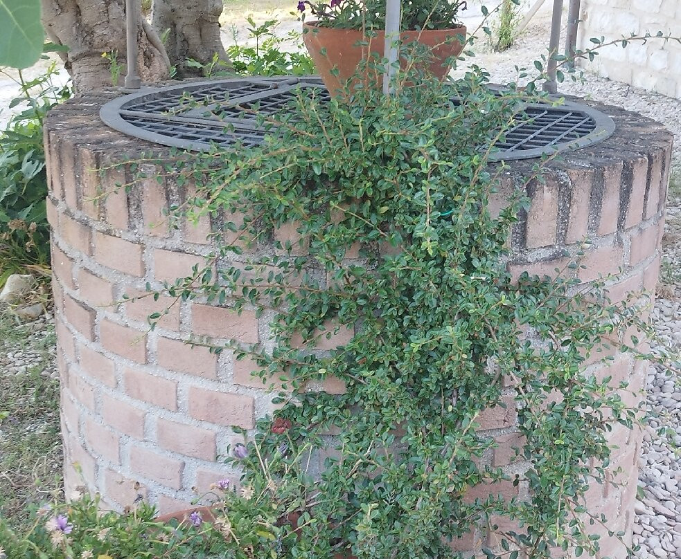 Valcastagno Relais & Residence主图