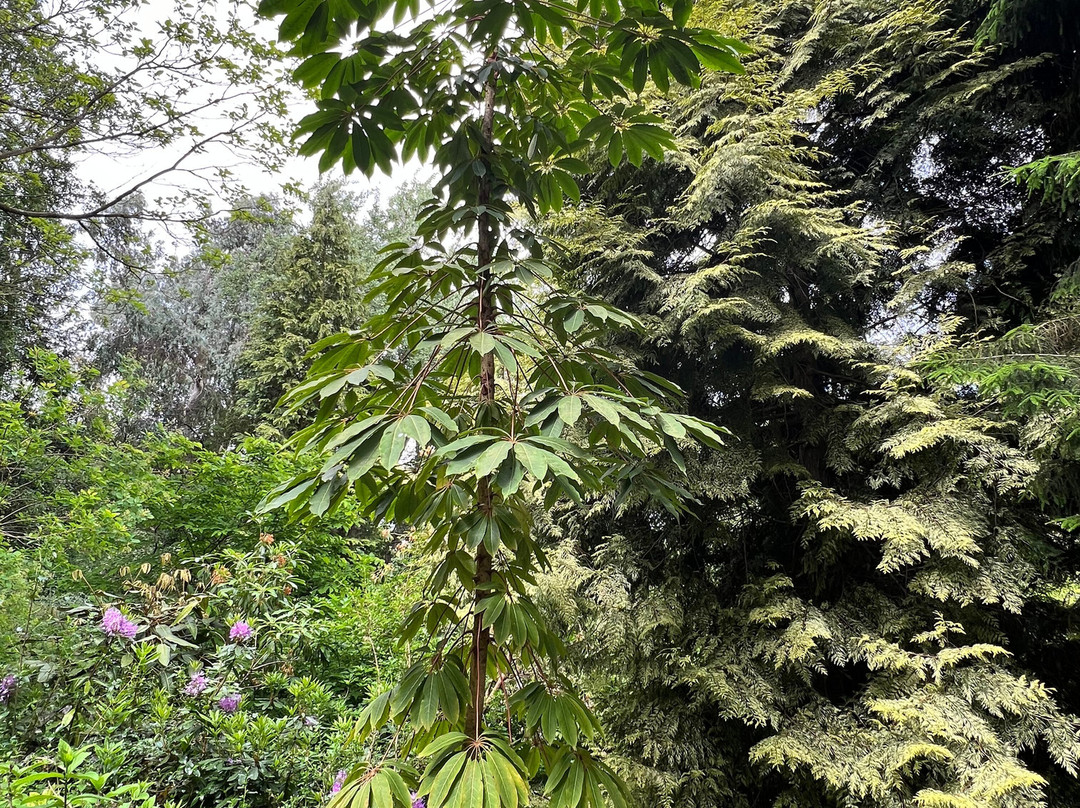 Moors Meadow Gardens-Bromyard必去景点