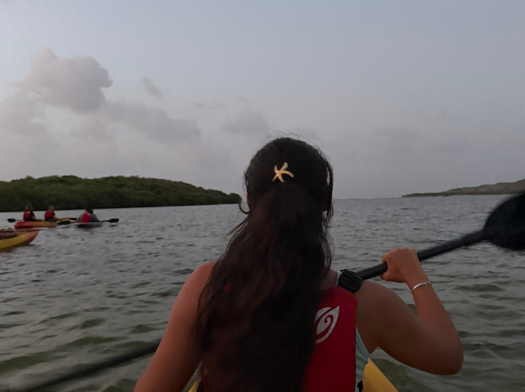 BushTribe Eco Adventures-Christiansted必去景点