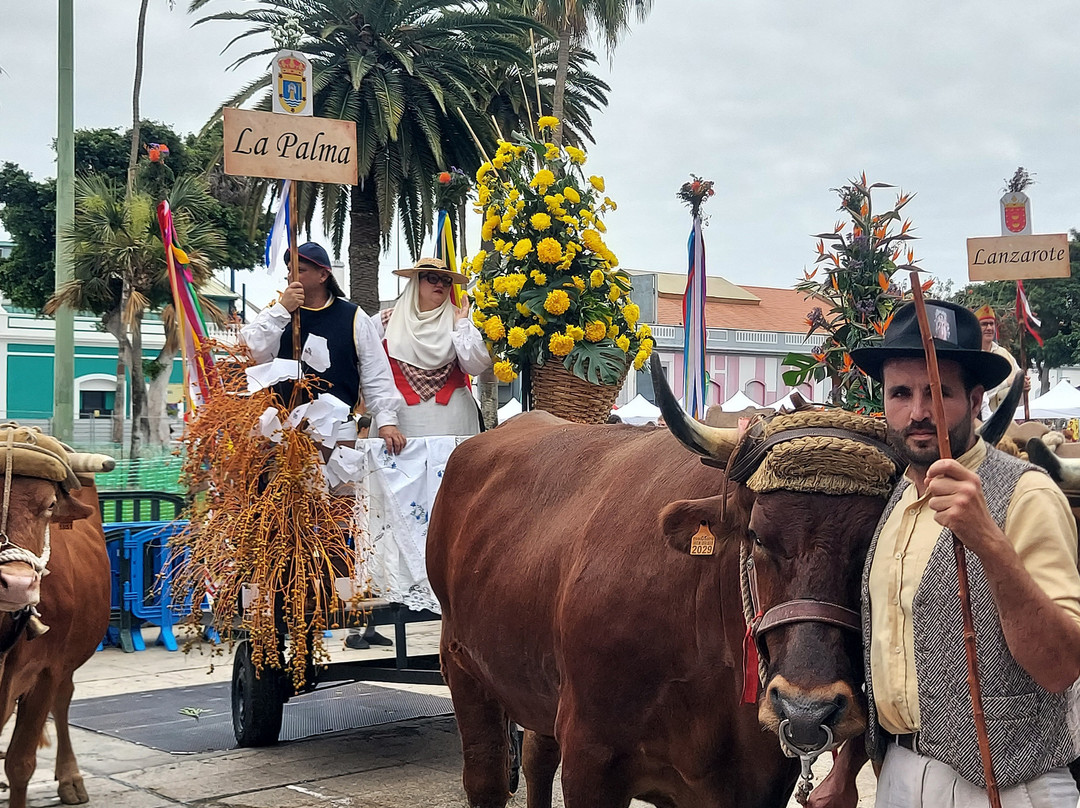 Parque de las Canteras-Puerto Real必去景点