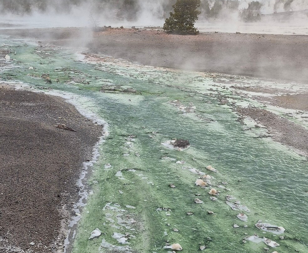 Yellowstone National Park-黄石国家公园必去景点