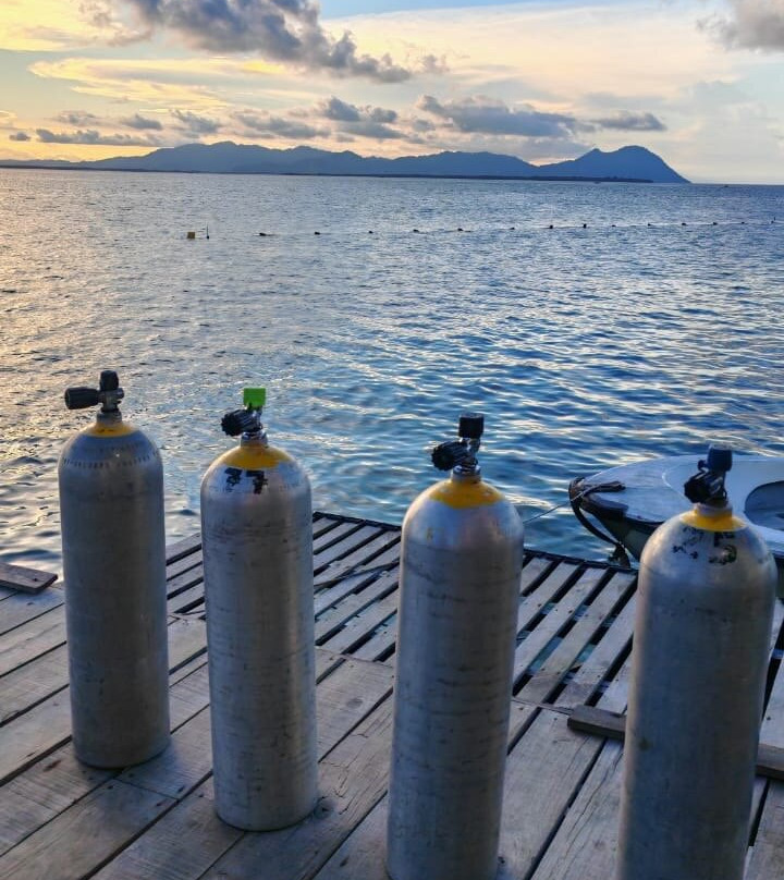 潜水迷浮潜店-仙本那必去景点