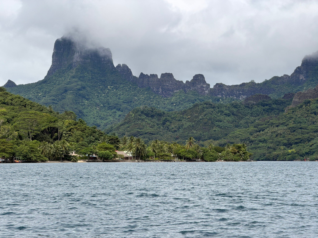 Moorea Ocean Adventures-莫雷阿岛必去景点