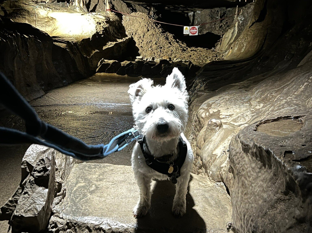 Ingleborough Cave-Clapham必去景点