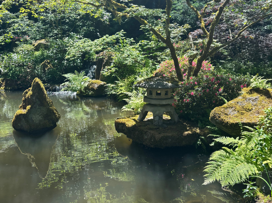 波特兰日本花园-波特兰必去景点
