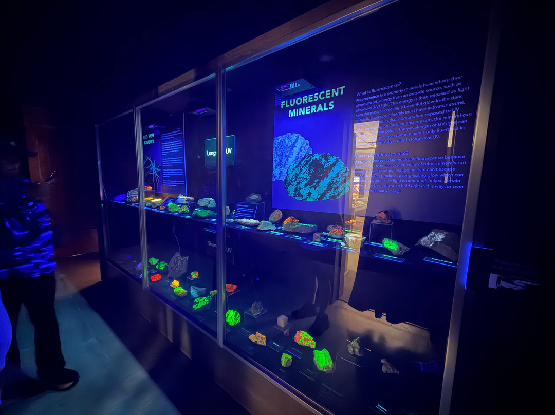 Museum of Geology-拉皮德城必去景点