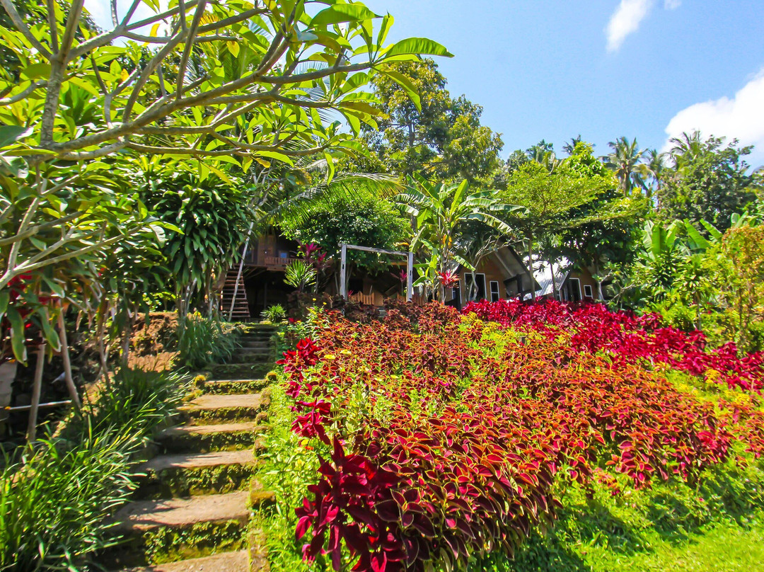 OYO 92419 Rejeng Homestay Near Kerta Gangga Waterfall