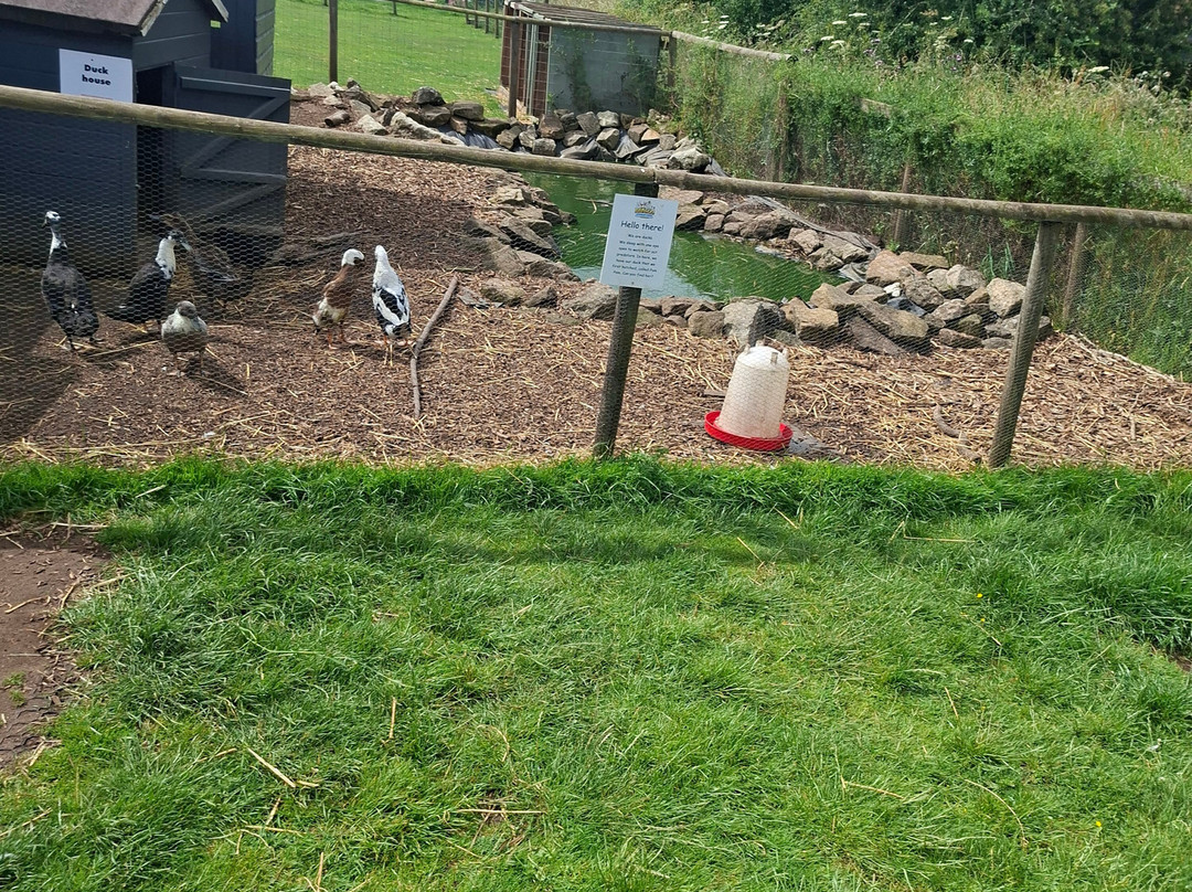 Sedgley Adventure Centre-Sedgley必去景点
