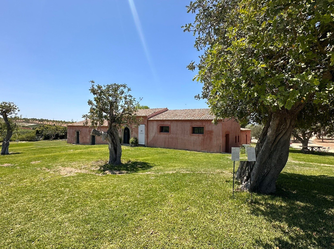 Planeta, Tenuta Buonivini - Noto-诺托必去景点