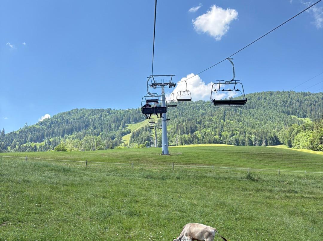 Zipline Annaberg-Annaberg必去景点