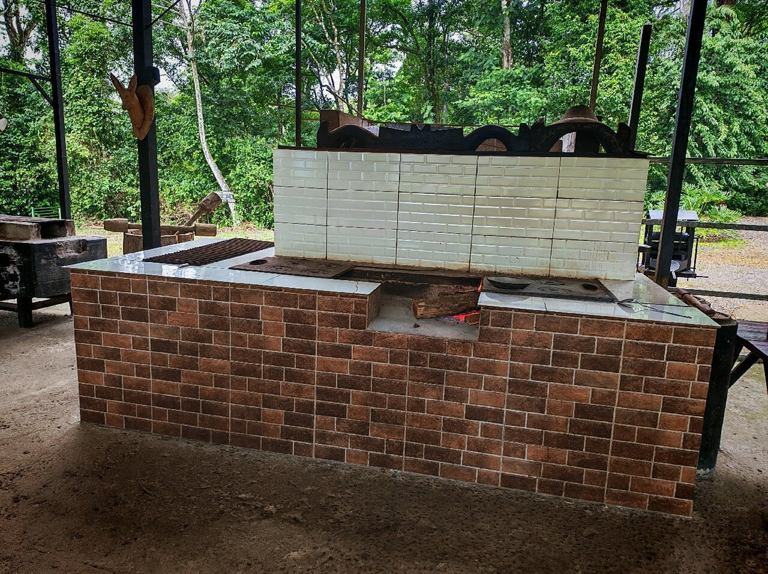 Bijagua Ranas