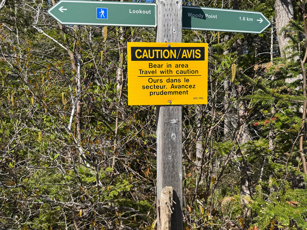 Lookout Hills Trail-Woody Point必去景点