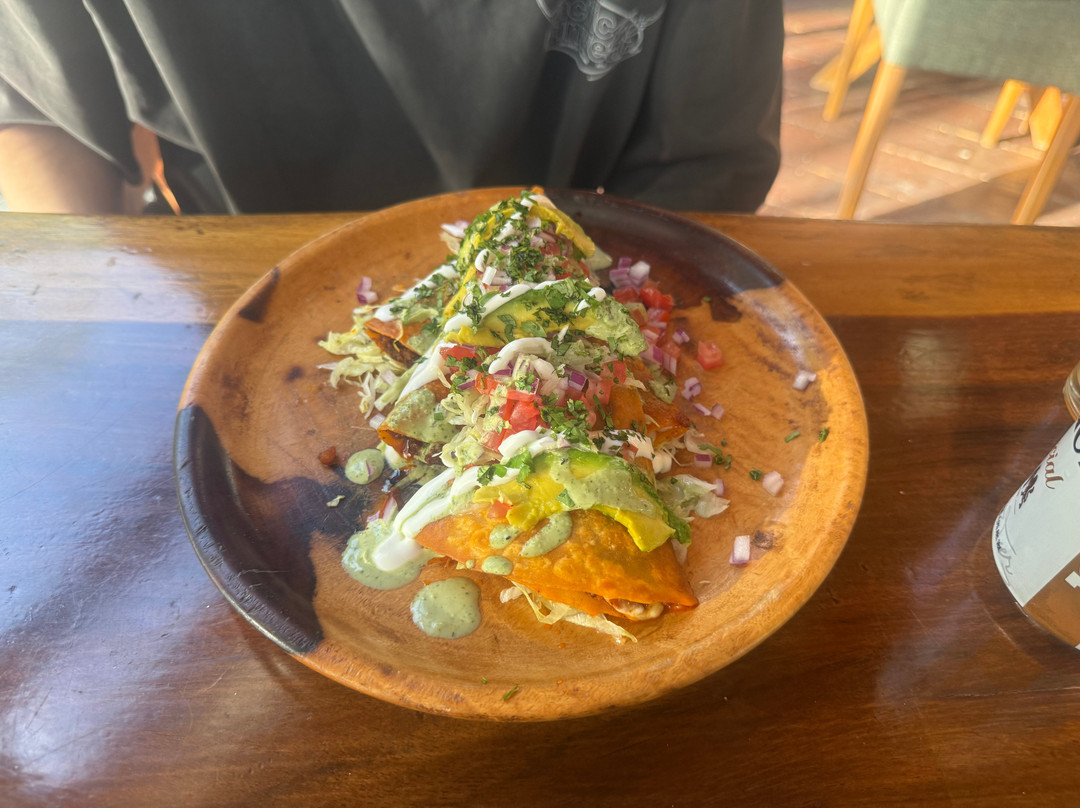 Restaurant Bar Tolok