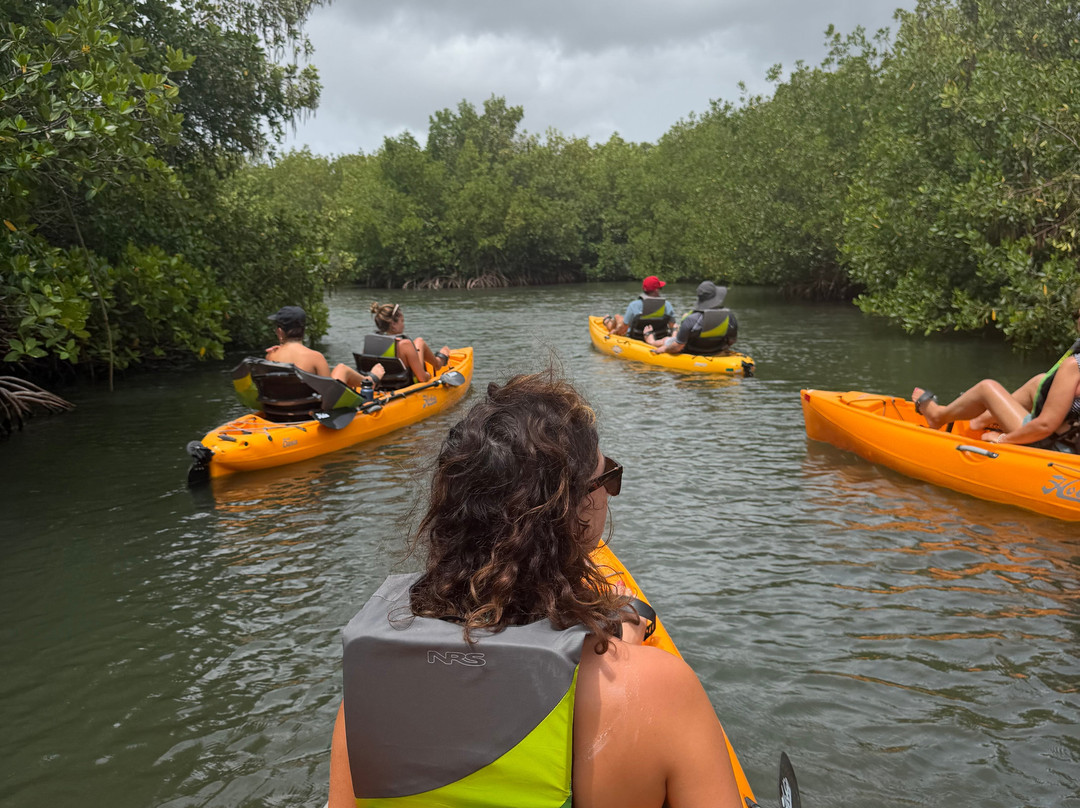 Virgin Kayak Tours-圣克鲁斯必去景点