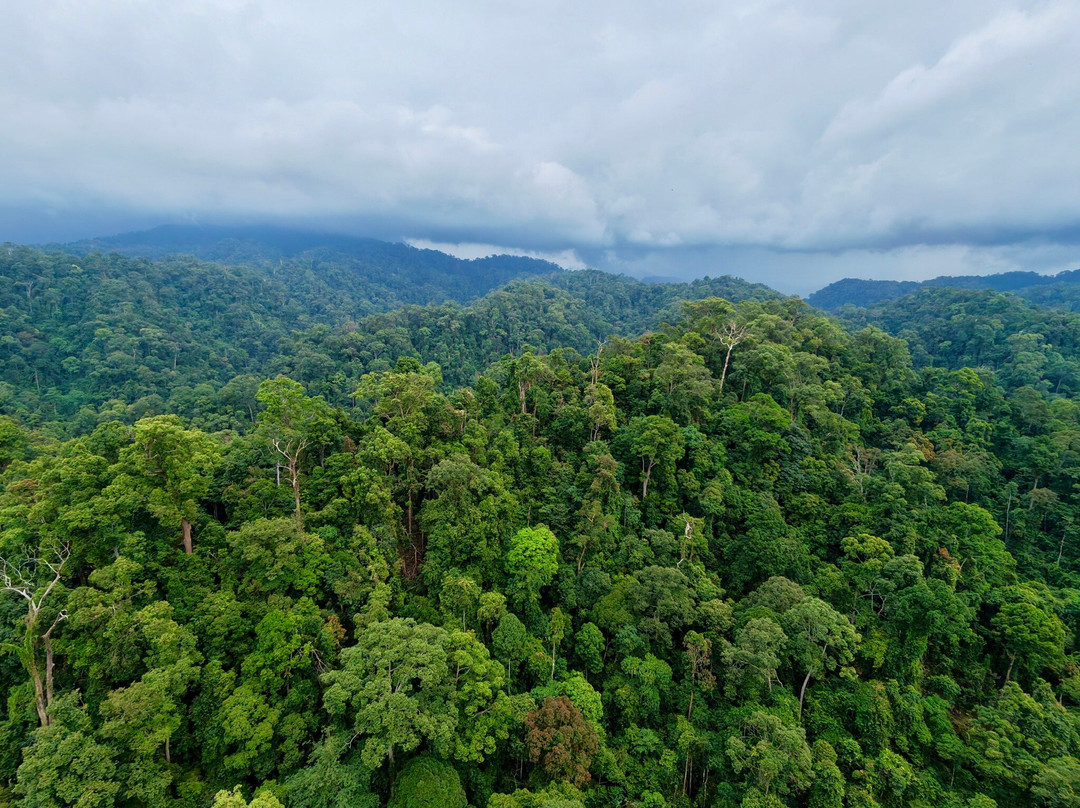 Bukit Lawang Jungle Trekking-武吉拉旺必去景点