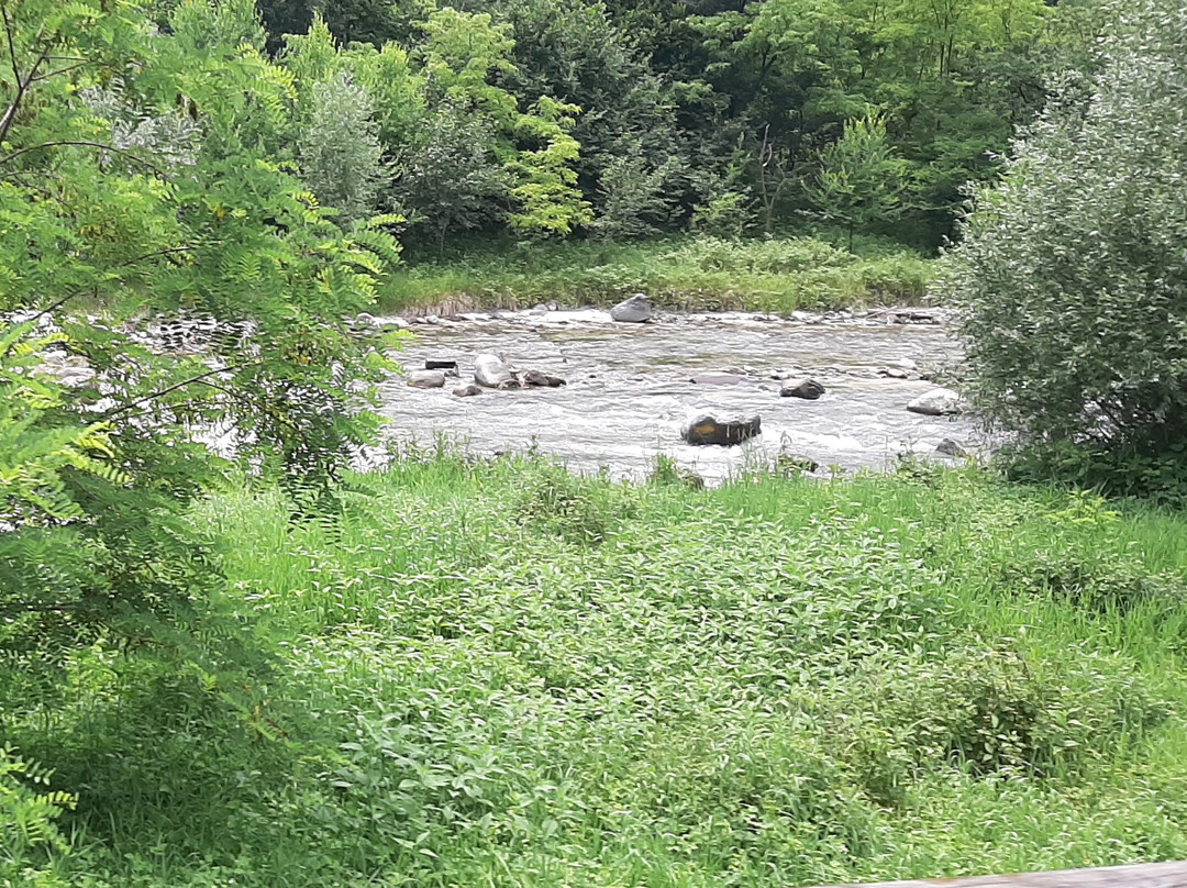 Fiume Brenta