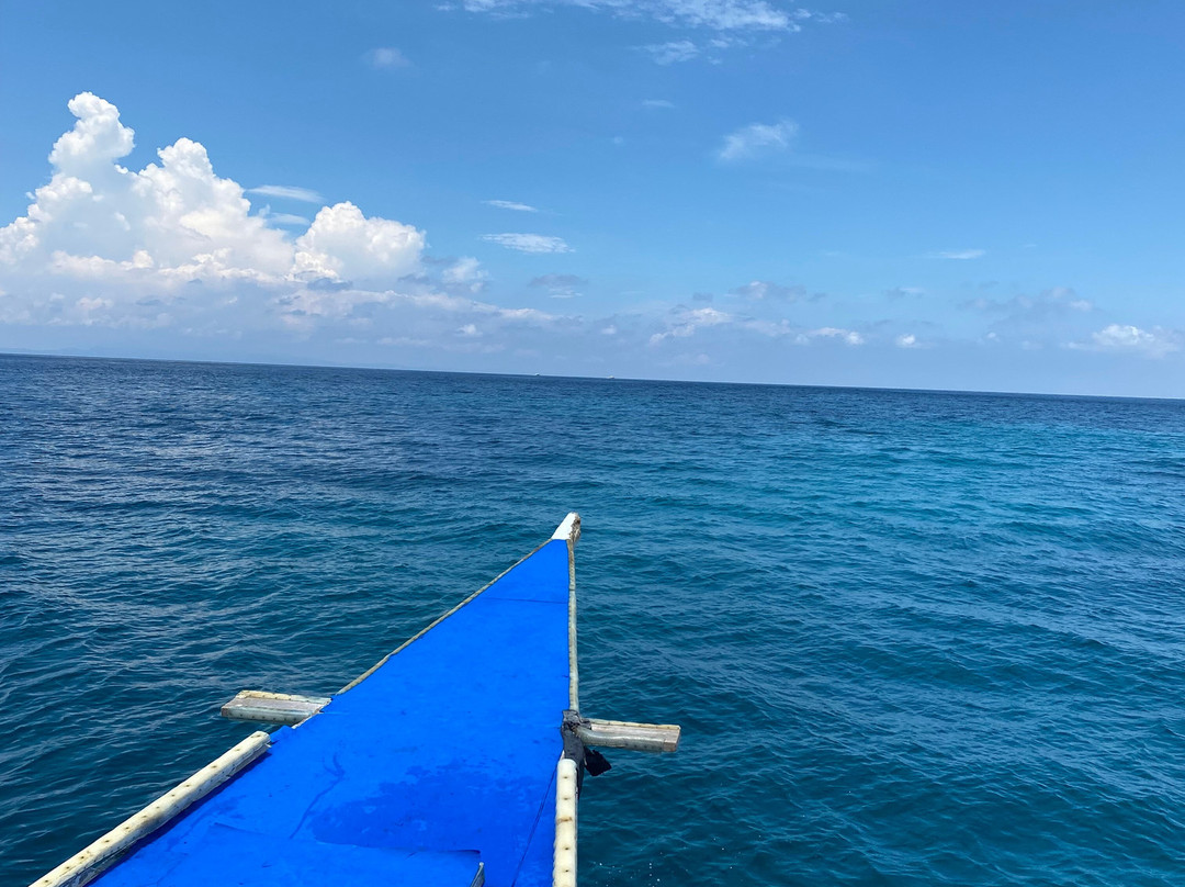Mbi Divecenter-妈妈拍丝瓜岛必去景点